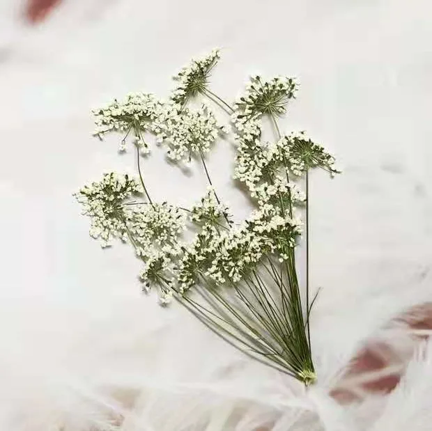 5-7 cm/12 adet, Şube ile Kar M - Craft Embellishment incelemesi ve fiyatı