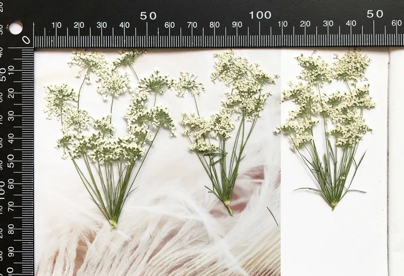 5-7 cm/12 adet, Şube ile Kar M - Craft Embellishment incelemesi ve fiyatı