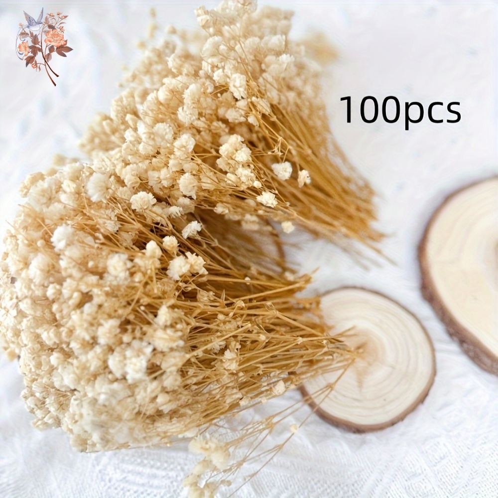 100 adet Mini Kurutulmuş Cipso - Embellish Craft incelemesi ve fiyatı