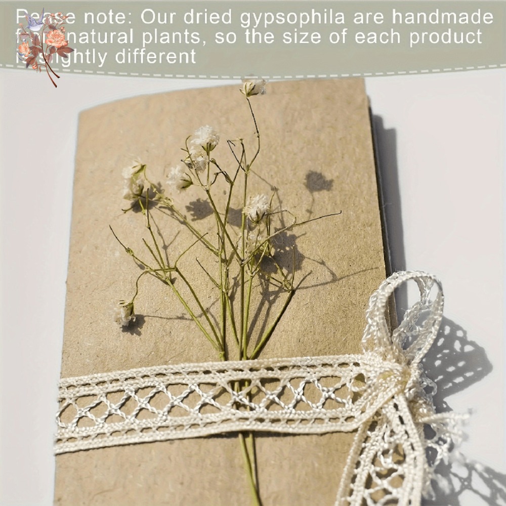 100 adet Mini Kurutulmuş Cipso - Embellish Craft incelemesi ve fiyatı